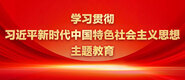 大鸡巴肏屄学习贯彻习近平新时代中国特色社会主义思想主题教育_fororder_ad-371X160(2)